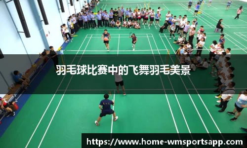 完美体育app