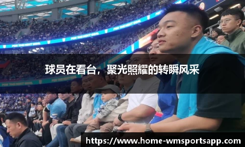完美体育官网